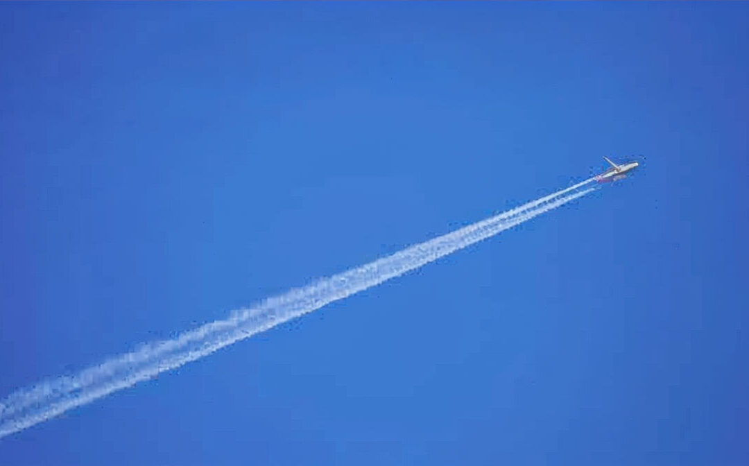 Regreso al trabajo con propósito