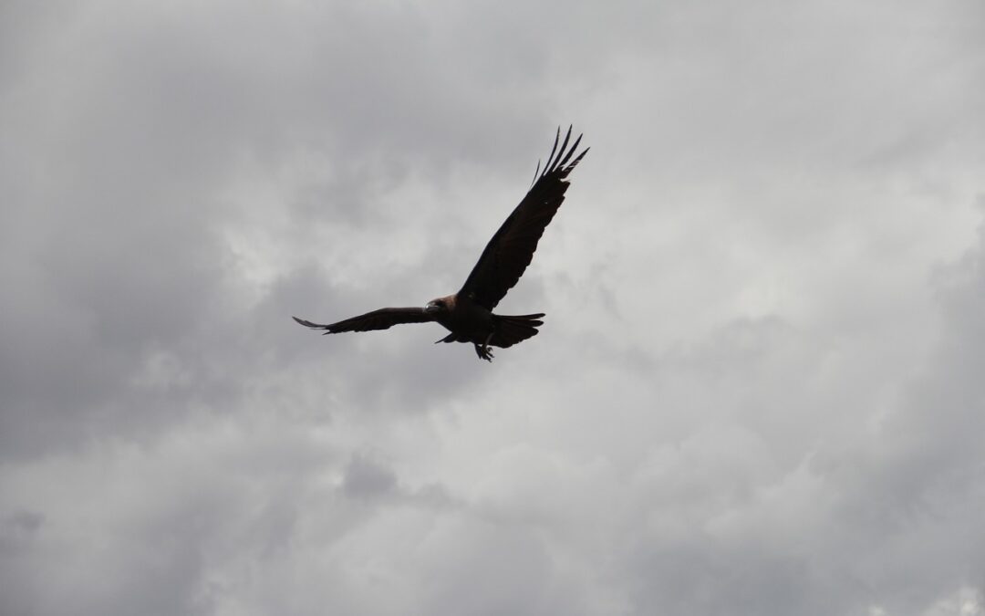 El arte de los matices en la búsqueda de talento