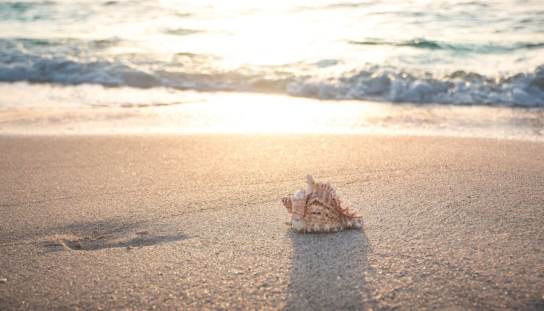 Claves para recargar de verdad